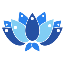 Marine Treasure Maldives